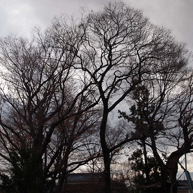 a0141366_14413457.jpg