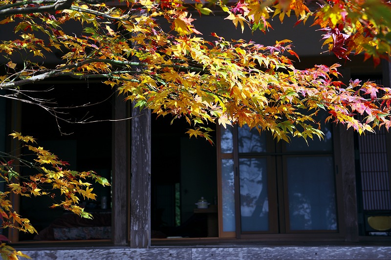 b0131167_071643.jpg