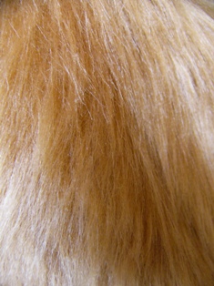 f0142668_6541332.jpg