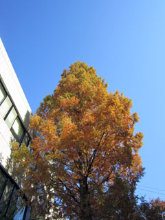 c0127670_224649.jpg
