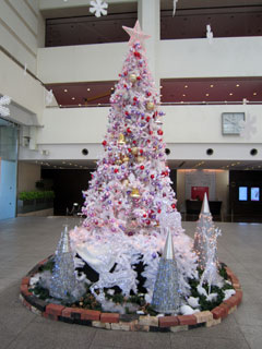 c0127670_233381.jpg