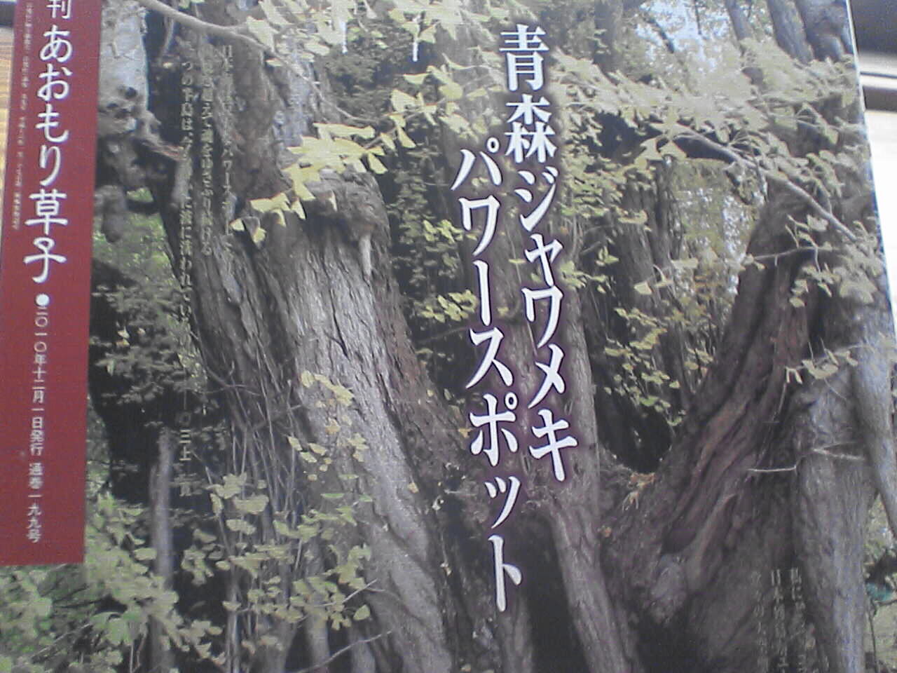 c0069380_12394497.jpg