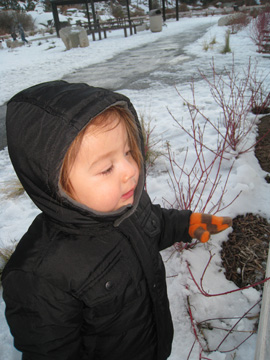 f0068883_16353310.jpg