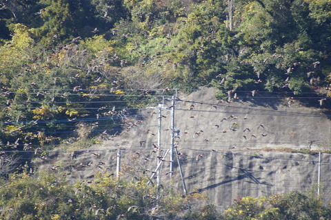 e0197884_0583042.jpg