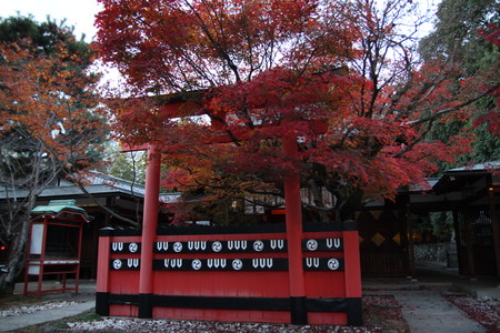 f0028584_547266.jpg