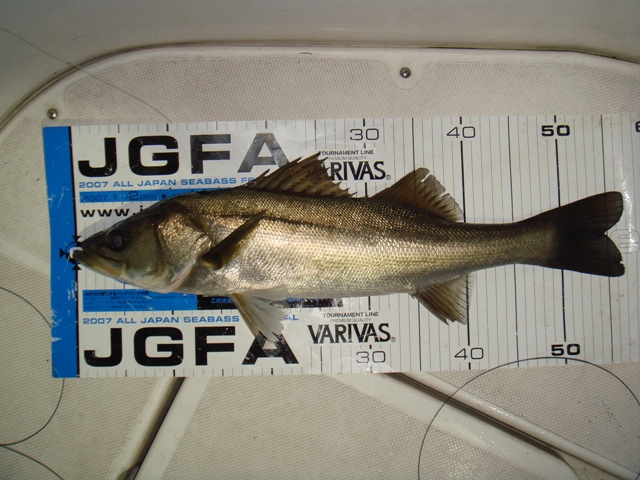 c0139388_0355239.jpg