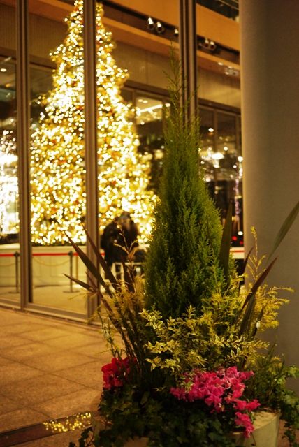 a0127090_22153715.jpg