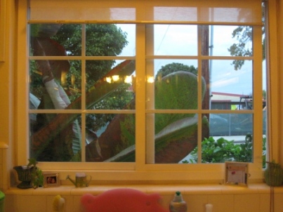 c0169390_12574161.jpg