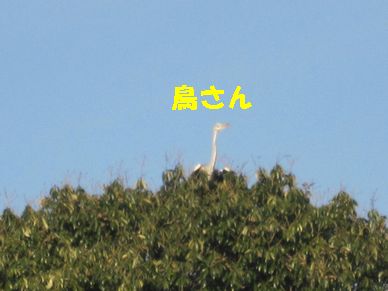 a0137294_2210529.jpg