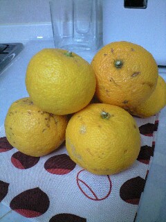e0207701_218580.jpg