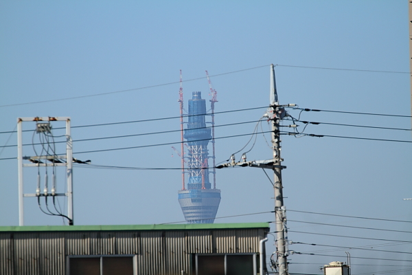 e0117503_19271152.jpg