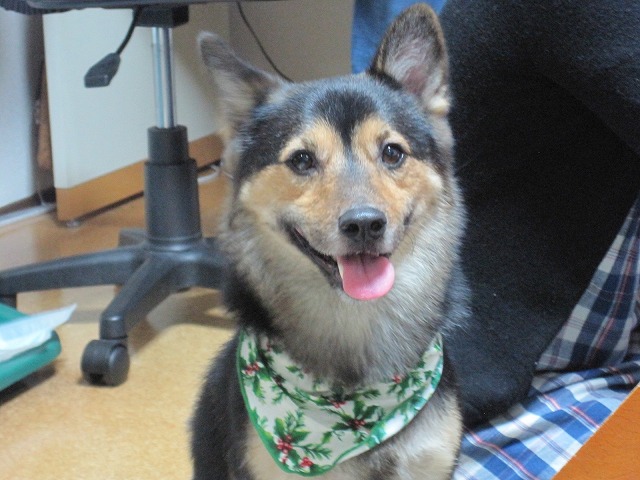 f0202703_032456.jpg