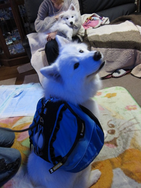 e0018604_15545445.jpg