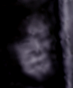 e0103408_15493463.gif