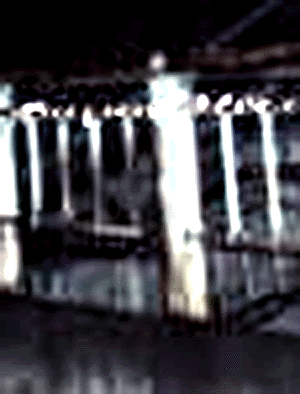 e0103408_15565890.gif