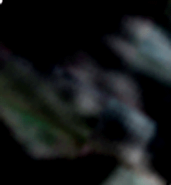 e0103408_15571347.gif