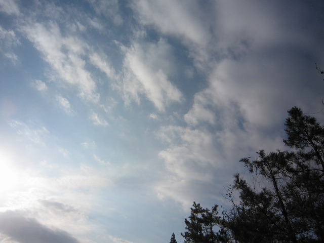 a0098513_1421985.jpg