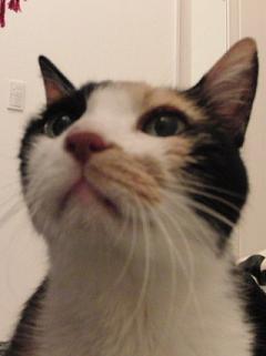 c0201113_20384678.jpg