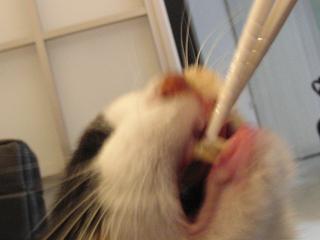 c0201113_20402466.jpg