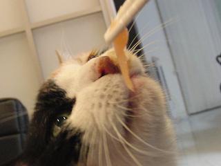 c0201113_2040832.jpg