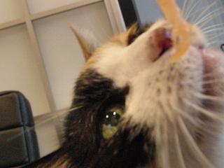 c0201113_2043368.jpg