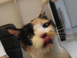 c0201113_20441928.jpg