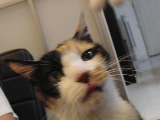 c0201113_2044490.jpg