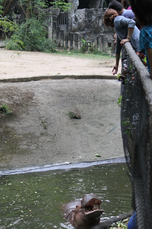 f0233916_19482898.jpg