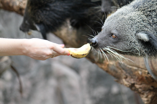 f0233916_20103764.jpg