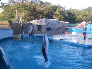 b0174020_2329347.jpg