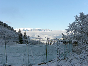 c0012120_22351279.jpg