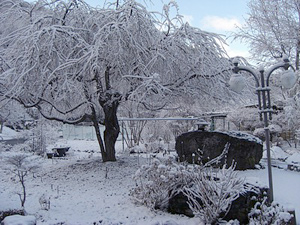 c0012120_22351760.jpg