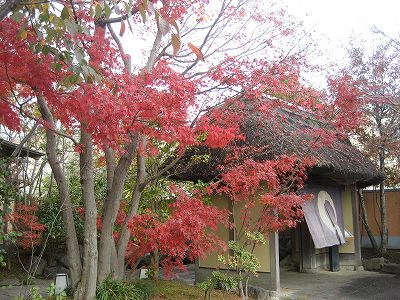 f0139520_21454155.jpg