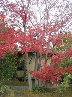 f0139520_21455661.jpg