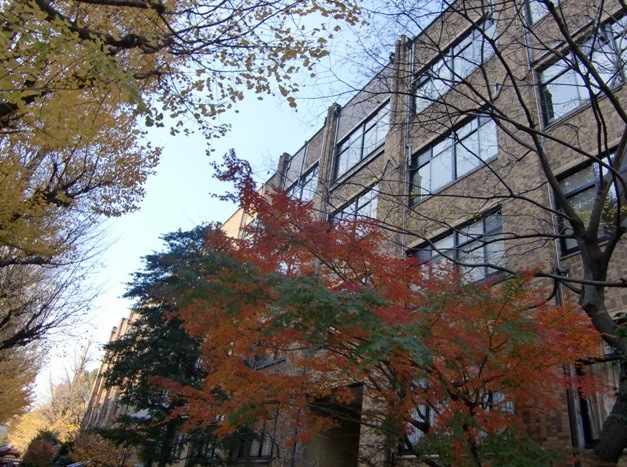 d0018424_041629.jpg