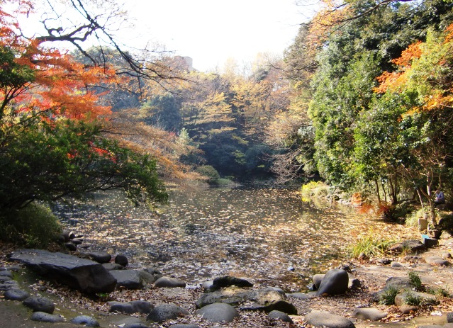 d0018424_04415.jpg