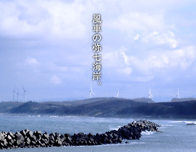 e0112226_10145925.jpg