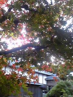 a0126128_2101072.jpg