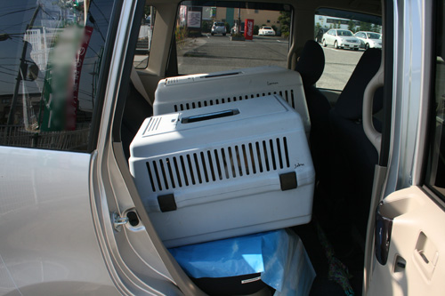 e0077528_1712057.jpg
