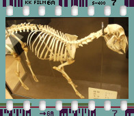 e0175228_12263939.jpg