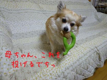 b0138430_19504917.jpg