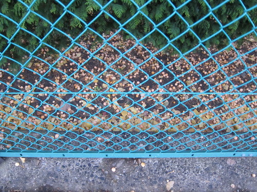 d0156438_204255100.jpg