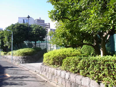 b0019140_1504836.jpg