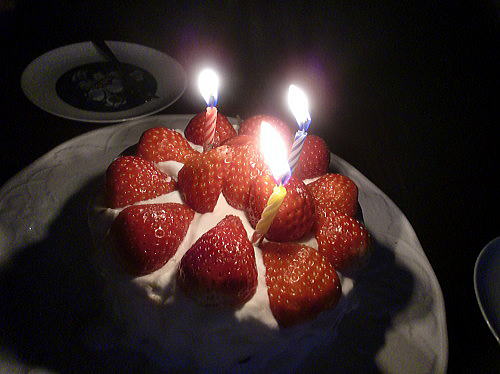 f0094843_131275.jpg