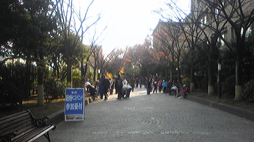 b0149445_20424.jpg
