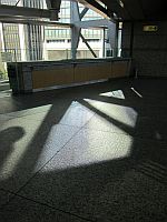e0080345_8462699.jpg