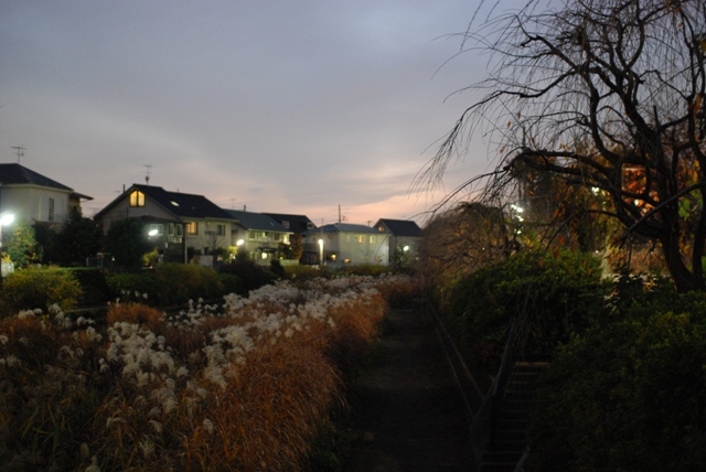 f0068145_1481220.jpg