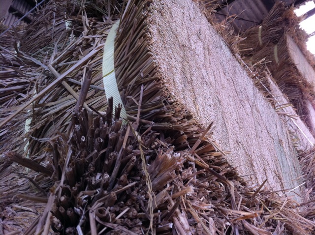 e0069646_19301712.jpg