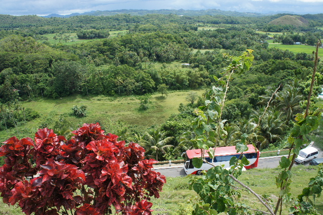 c0011649_18572970.jpg