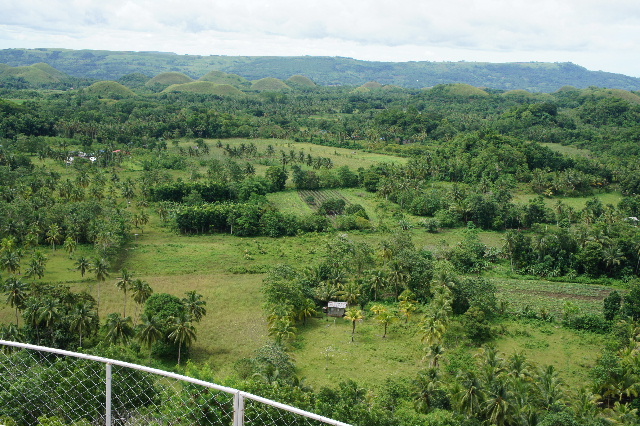 c0011649_1954674.jpg